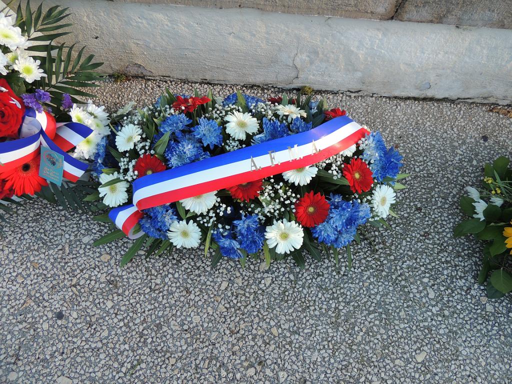 2022 12 05 TOULON HOMMAGE AUX MORTS POUR LA FRANCE EN AFN (9).JPG -           